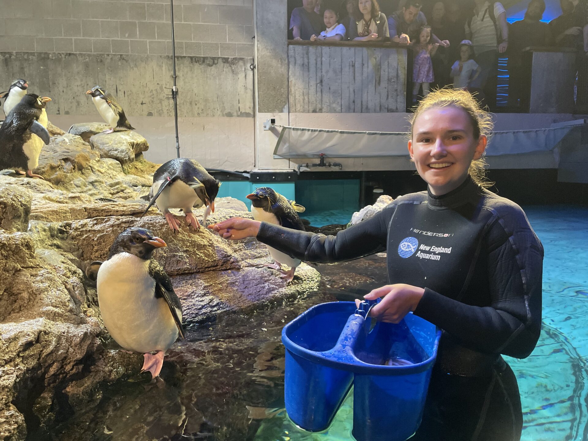 I Am Now Obsessed With Penguins! - Boston Sea Rovers